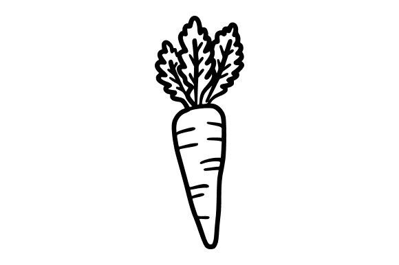 Carrot Line Art: A Versatile Vegetable Outline Drawing for Creators