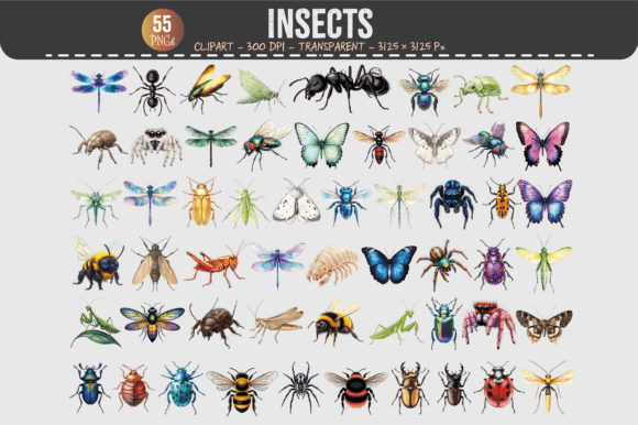 Insects Clipart – 55 PNGs: A Strategic Resource for Designers, Educators, and Content Creators